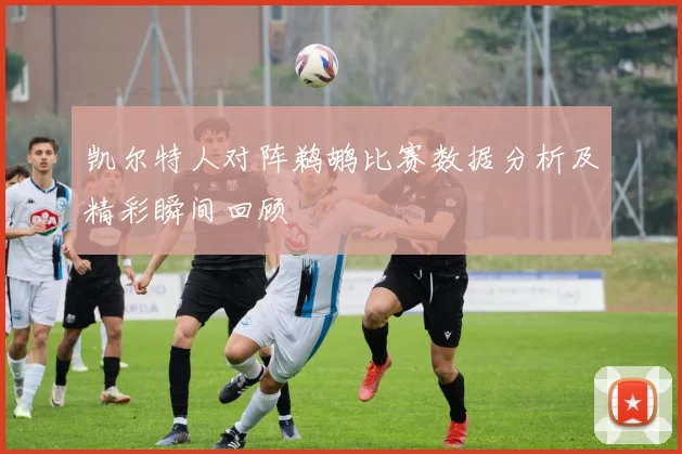 凯尔特人对阵鹈鹕比赛数据分析及精彩瞬间回顾